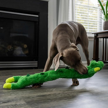 Outward Hound Longidudes Gator Long Crinkly & Squeaky Dog Toy, Green