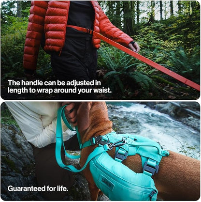 Säker Kelp™ Waterproof Dog Leash – Heavy Duty, Odor-Proof, Adjustable 4–6 ft Long Dog Leash with Twist-Lock Carabiner, 3 Traffic Handles, Hands-Free Option, Aluminum Hardware