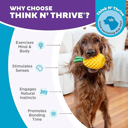 Outward Hound Dental Pineapple Dog Toy & Treat Stuffer, 6.8″ x 3.3″ Pineapple-Scent Interactive Chew for Dogs, Promote Healthy Teeth, Gums & Mental Enrichment, Reduce Boredom & Support Dental Health