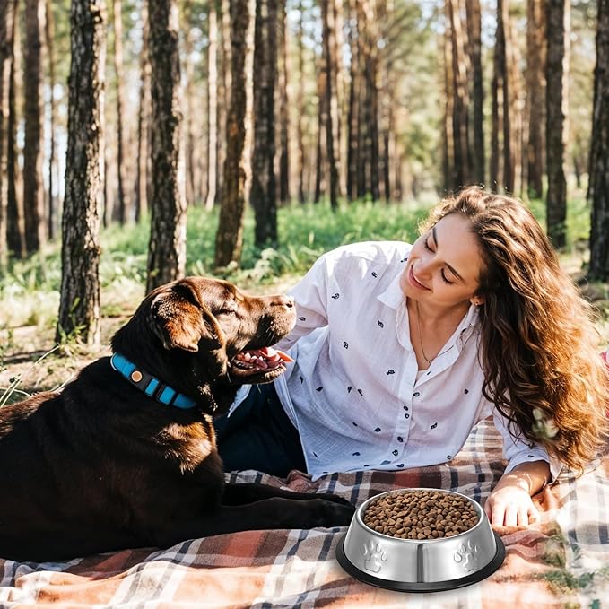 10 Pcs Stainless Steel Dog Bowls Non-Slip Dog Food Bowl 7 Oz Dogs Food and Water Bowl Set Dishwasher-Safe Puppy Bowls Rust Resistant Metal Pet Bowls Suitable for Small/Medium/Large Sized Pet