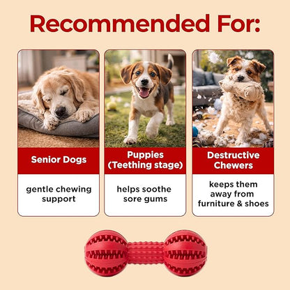 JAYU PET Toothbrush Toy Dog Chew Toy for Aggressive Chewers, Durable Dental Toy for Small & Medium Dogs, Teeth Cleaning Toy to Keep Them Busy, Remove Plaque & Tartar