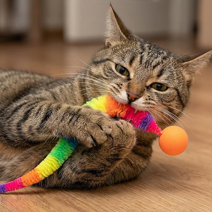 Feather-Free Cat Wand Toys - 4 Pack Safe Magic Wand with Wool Balls & Bells, Interactive Indoor Cat Toys, No Feathers Kitten Exercise Set
