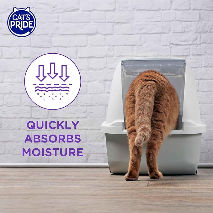 Cat’s Pride Micro Crystals Cat Litter, Non-Clumping, Scented, 30-Day Odor Control, 99% Dust Free, Lightweight, Soft on Paws, 6.5lb Bag
