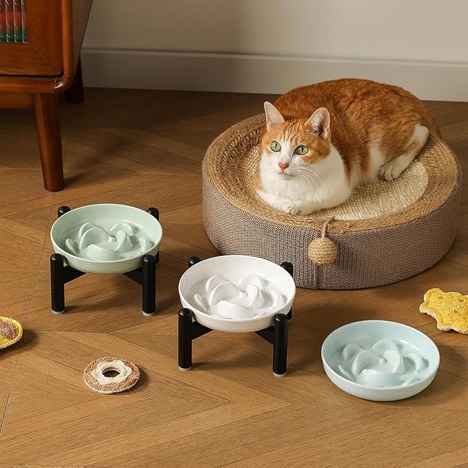 Elevated Slow Feeder Cat Bowl - Melamine Cat Food Plate with Anti-Slip Metal Stand - Raised Maze Dish for Slow Eating - Ivory White