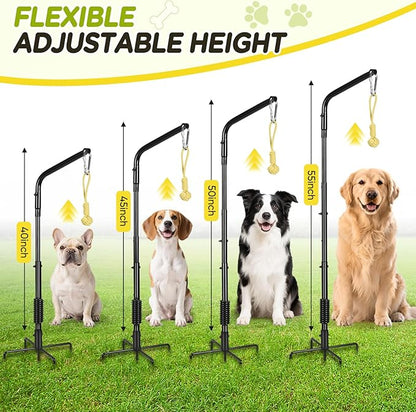 Tether Outdoor Dog Rope Toy with Strengthen Spring Pole, 3 Kinds Dog Tug of War Toys for Self Play and Interactive in Park, Yard, Lawn Rope, Suitable for Large Medium Small Dogs (Black)