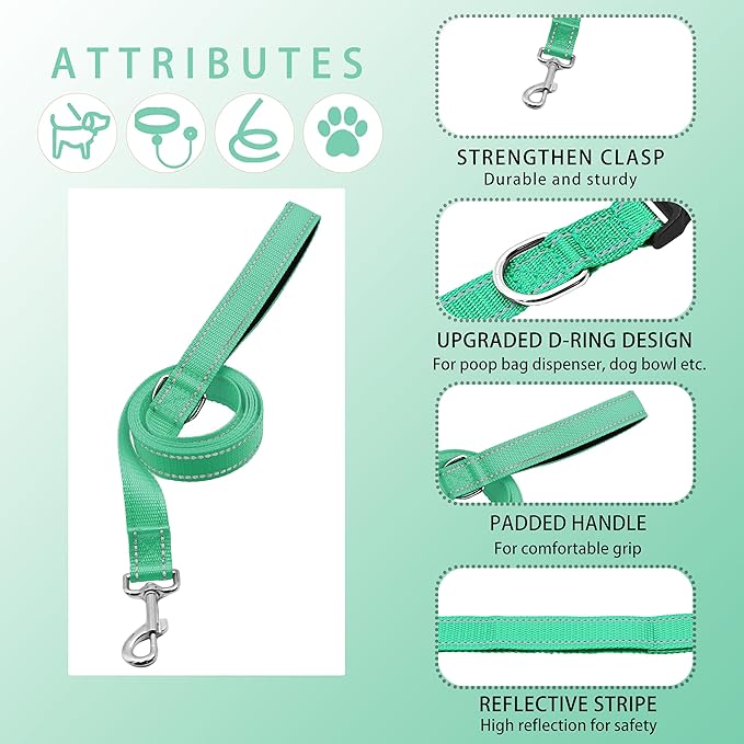 Reflective Dog Collar with Safety Locking Buckle, Adjustable Soft Breathable Nylon Collars for Small, Medium and Large Dogs(Collar+Leash XS Width 5/8" Turquoise)
