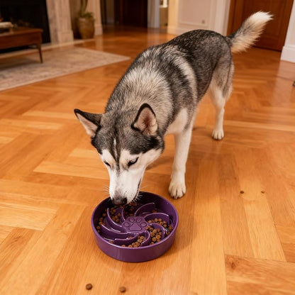 Ceramic Slow Feeder Dog Bowl, 1.5 Cup Dog Food or 20oz Water, Slow Eating Bowl for Small Breed, Maze Puzzle Feeder for Fast Eaters, Anti-Choking Stop Bloat, Non-Slip BPA Free (Purple)