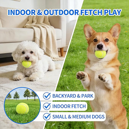 Automatic Dog Ball Launcher for Small Dogs & Medium Dogs, Interactive Fetch Machine with 3 Launch Distances (15–45 FT), USB Rechargeable, Includes 6 ETPU Balls (Mini)
