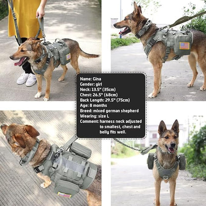 Forestpaw Tactical Dog Harness for Large Dogs,Tactical Dog Collar with Bungee Leash Set,No Pull Military Dog Harness for Walking Training,Adjustable for Medium Large Dogs,Gray,Chest 21.5-45"