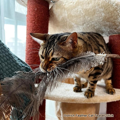 TTcat Cat Wand Toys Natural Huge Feather Stick Toys,3 Pcs Extra Long Teaser Sticks with Different Feathers (Ostrich, Peacock, Chicken),Interactive Toys for Indoor Cat and Kitten.
