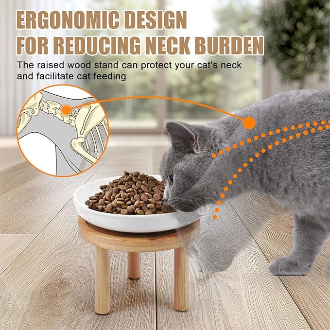 Shallow Elevated Cat Bowls with Bamboo Stand, 5.9 Inch Raised Slow Feeder Cat Bowl and Wide Ceramic Cats Bowls Whisker Friendly, 2 Pack Pet Dishes for Dry and Wet Food Dishwasher Safe