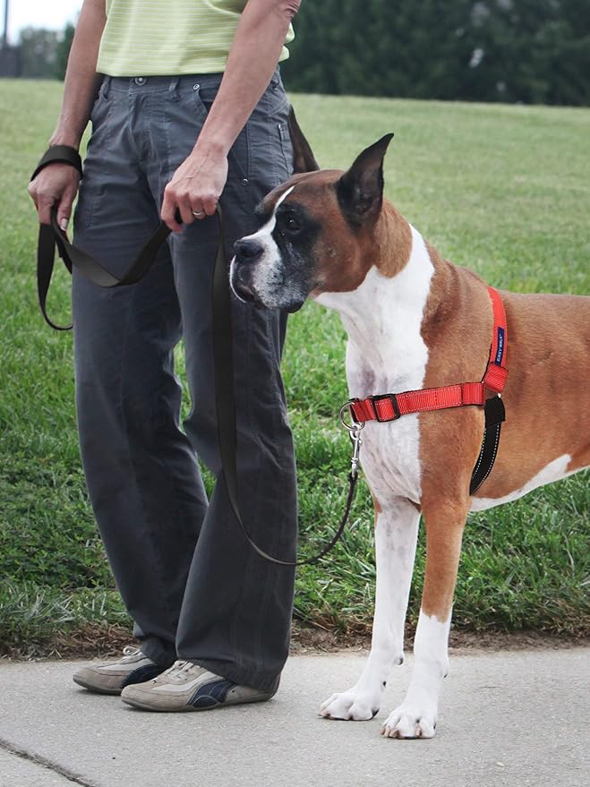 PetSafe Deluxe Easy Walk Harness - Trainer-Trusted Dog Chest Harness with Breathable Martingale Loop Design - Helps Stop Pulling with No Choking & Gagging - Large - Rose