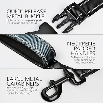 Waist Leash for Dog Walking, Waist Dog Leash for Running, Hands Free with Metal Quick-Release Buckle, Rope Bungee, Neoprene Lumbar Support