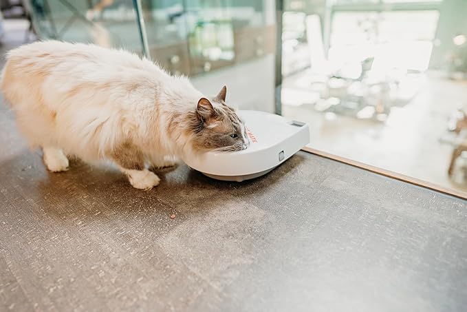 Cat Mate C300 Automatic 3 Meal Pet Feeder with Digital Timer (366) - for Cats or Small Dogs, for Wet and Dry Pet Food, Meals up to 0.73 lb Each, White