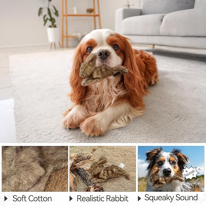 ALL FOR PAWS Classic Rabbit Squeaky Doy Toy, Bunny Dog Toy for Small Medium Breed, Puppy Fetch Toy with Squeaker, Plush Chew Dog Toy, 8 x 2.8 x 4.7 inches, Brown Rabbit -Small Size