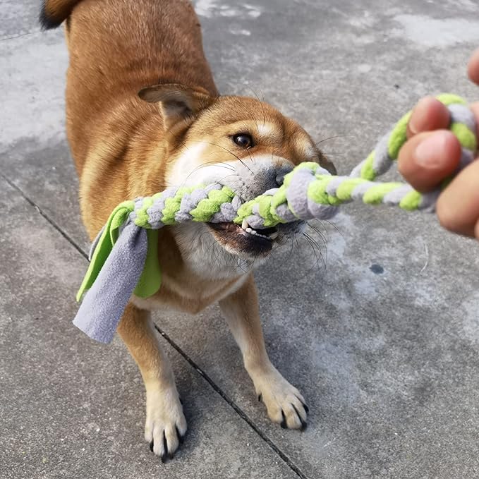 Dewonch Dog Fleece Rope Teaser Toy as Replacement to Chase and Tug (B-2PCS)