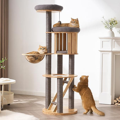 Modern Cat Tree Tower with Scratching Post, 61.5in Tall Cat Tree for Indoor Cats, Multi-Level Solid Wood Cat Furniture with Ladder, Cozy Cat Beds, Cat Condo, Capsule Nest, Dangling Toy, Gray