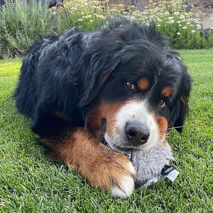 Spunky pup Hippo with Ball Squeaker Dog Toy | Cuddle Crinkle Crunching Sound and Squeaky Dog Toys | Nylon Reinforced Plush Toy | Toss Fetch and Play | Furry Friends Collection | For All Size Breeds