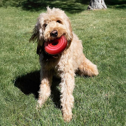 KONG Donut Dog Toy – Durable Natural Rubber Chew & Fetch Toy – Promotes Healthy Teeth & Gums, Fun Bounce & Roll, Gentle on Mouth (Large/X-Large)