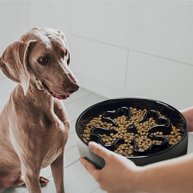 Slow Feeder,Ceramic-Slow Feeder Dog Bowls Medium Breed,Puzzle Food Bowl Maze,2.5 Cups Slow Feed Dog Bowl for Medium Dogs,Black