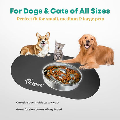 Stainless Steel Slow Feeder Dog Bowl with Absorbent Non-Slip Mat | Designed to Slow Eating | 304 Stainless Steel, Dishwasher Safe, Durable One-Piece Design for All Breeds