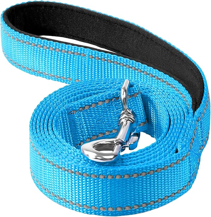 Reflective Dog Leash 4ft Soft Padded Handle Nylon Lead for Small & Medium Dogs, Durable Walking Training Leash for Night Safety (SkyBlue,1Inch Wide)