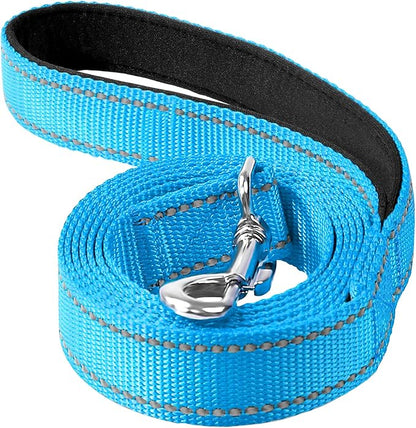 Reflective Dog Leash 4ft Soft Padded Handle Nylon Lead for Small & Medium Dogs, Durable Walking Training Leash for Night Safety (SkyBlue,1Inch Wide)