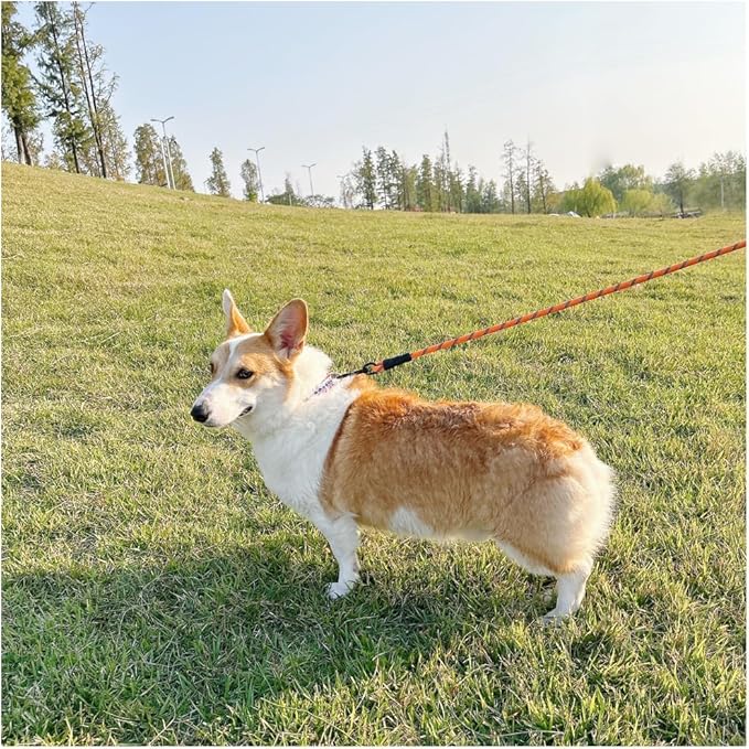 MayPaw 6FT Heavy Duty Rope Dog Leash, Soft Padded Handle Nylon Pet Leash, Thick Lead Leashes for Large Medium Dogs Walking Training (Orange Black, 1/2" * 6')