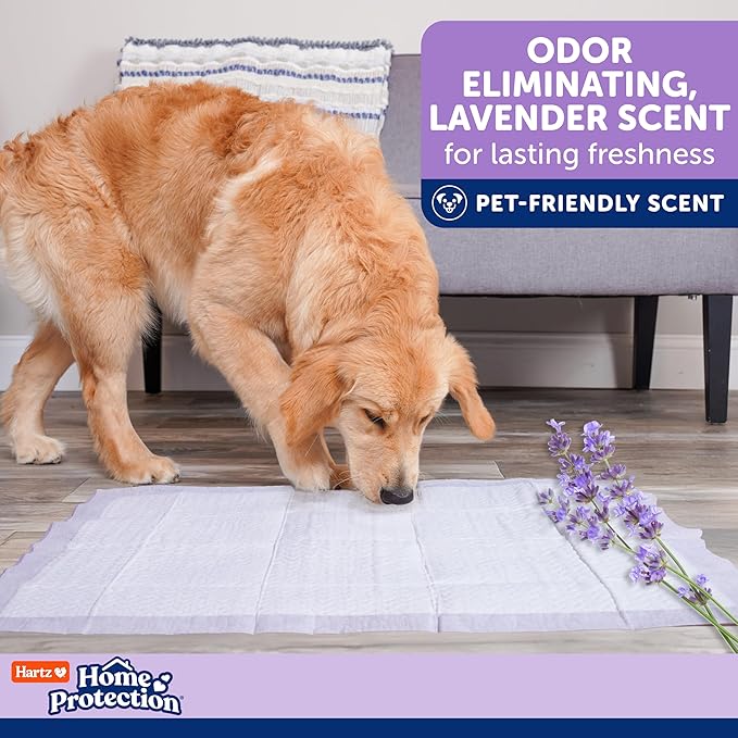 Hartz Home Protection Super Absorbent Odor Eliminating Lavender Scented No Leaks Dog Pads, 100 Count