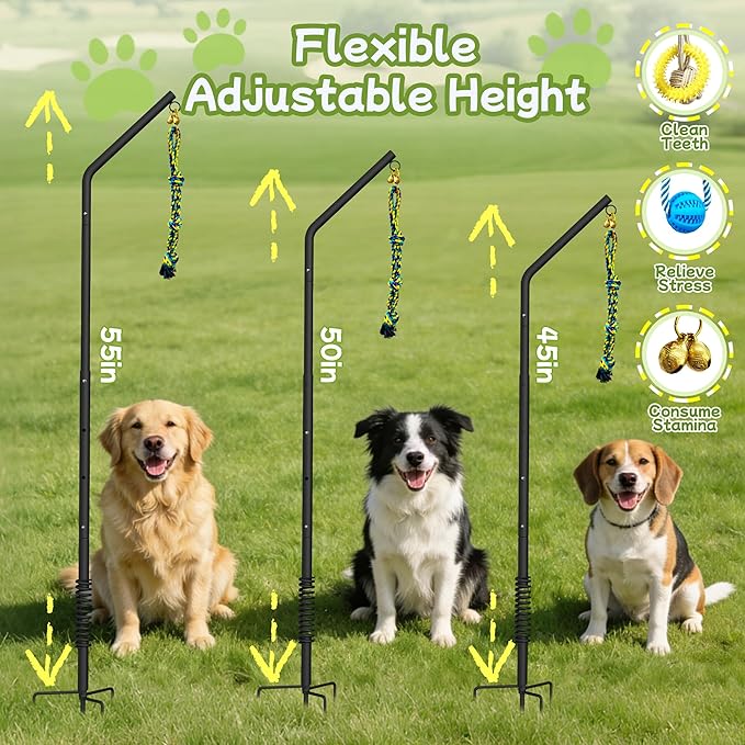 Tether Outdoor Dog Rope Toy with Adjustable Height Spring Pole, 3 Kinds Dog Tug of War Toys for Self Play and Interactive in Park, Yard, Lawn Rope, Suitable for Energetic Dog