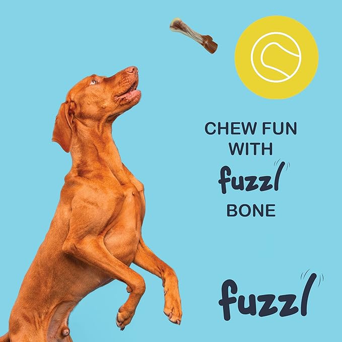 Ultra Tough Nylon Dog Chew Toy - Wishbone & Bone, Beef Scented, Heavy Duty, Water Resistant, Large Breed, 2 Count