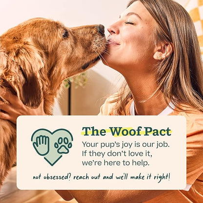WOOF BullySafe - Bully Stick Holder - Durable Dog Chew Holder for Safe, Long-Lasting Play - Easy to Clean - No More Swallowed Ends - for Dogs 10+ lbs