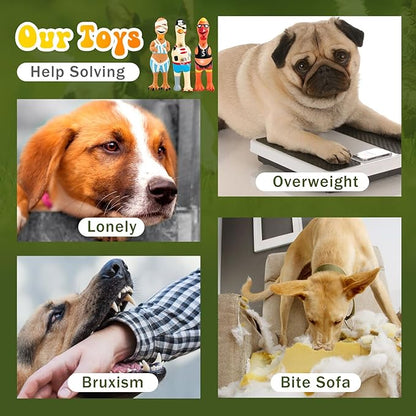 3 Pcs Rubber Chicken Squeaky Dog Toys Screaming Chicken Latex Soft Rubber Chew Molar Toys Interactive Pet Funny Squawkers Cute Dog Gifts for Small Medium Birthday (Cool Style)