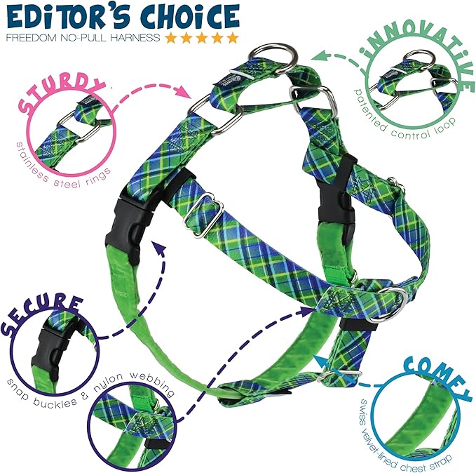 2 Hounds Design - Freedom No-Pull Harness & Training Leash in Green and Blue | Dual Leash Loops, No Pulling on Walks | Lined to Prevent Chaffing | for Large Sized Dogs (Size M, Chest 24”- 28”)