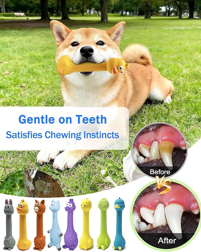 SCHITEC Squeaky Dog Toys, [2 Pack] Squawking Latex Toy with Interactive Squeaker, Squeak Rubber Duck Chicken for Medium Small Dogs