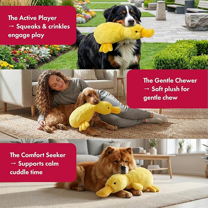 Pet Lou 15 Inch Platypus Plush Dog Chew Toy with Squeakers & Crinkle Paper, Durable Super-Soft Stuffed Promo Dog Toy for Interactive Fetch & Play