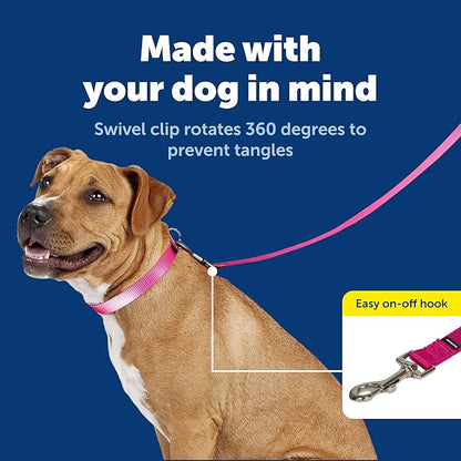 PetSafe Nylon Leash - Strong Nylon for Everyday Walks - Durable Pet Leash with Quick Attach Clip - Comfortable Soft Grip - 4 Feet - Raspberry Pink