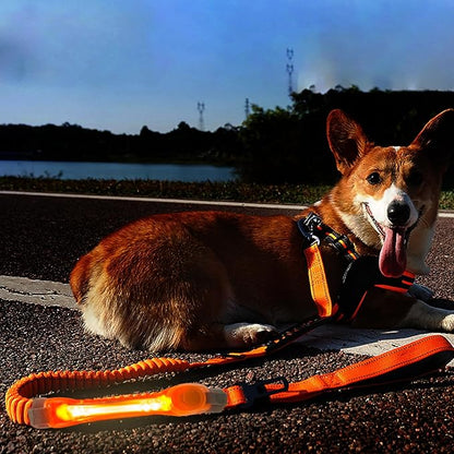 Heavy Duty Dog Leash and LED Light Set, LED Light with Nylon Stickers, Universal Glowing Accessories Easy to Attach Collar Leash and Harness, Safety LED Light Up Band for Dogs at Night Walking