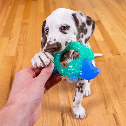 Pupstages Cutie Chewies Hedgehog Dental Dog Chew Toy — Multi-Textured, Massages Gums, Floats & Bounces for Teething Puppies & Small Dogs, 5" x 3.5" x 1"