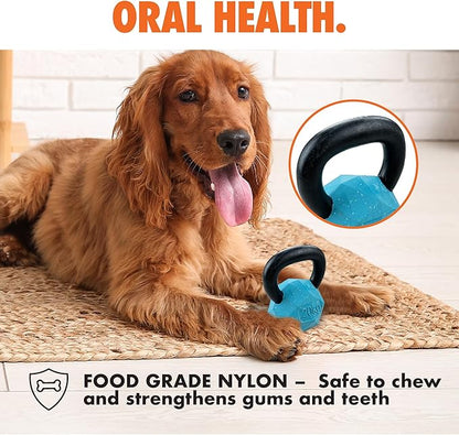 Max Fusion Made with Nike Grind, Arlee Kettlebell Treat Dispensing Dog Toy, Durable Green Dog Treat Toy, Treat Dispenser Toys, Natural Rubber Chew Toy, Small, 1 Count