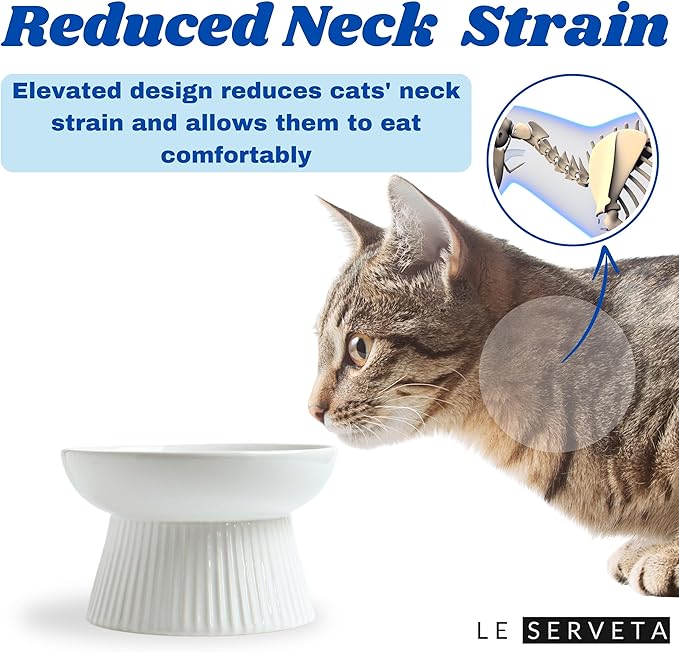 Ceramic Slow Feeder Cat Bowl, Raised Puzzle Feeder, Anti Vomiting Cat Slow Feeder, Elevated Food Bowl, Whisker Friendly Cat Bowl (White)