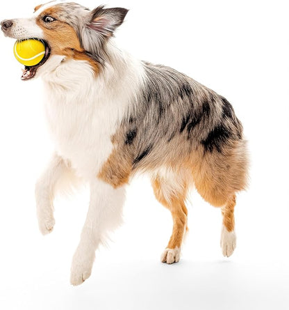 Playology Dog Toys | Squeaky Chew Ball - Bouncy Durable Floating Fetch Ball for Dogs | Jumbo Chicken Scented Toy - Easy to Clean and Made from Non Toxic Materials