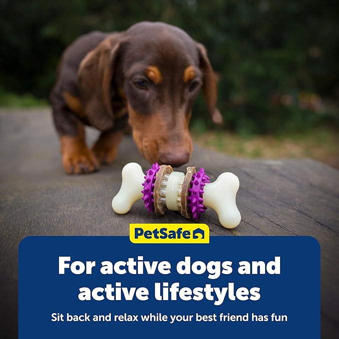 PetSafe Busy Buddy Bristle Bone - Durable Dog Chew Toy with Bristles & Rubber Nubs for Dental Health - Treat-Dispensing Toothbrush Toy for Hard Chewers - Dog Enrichment Supplies