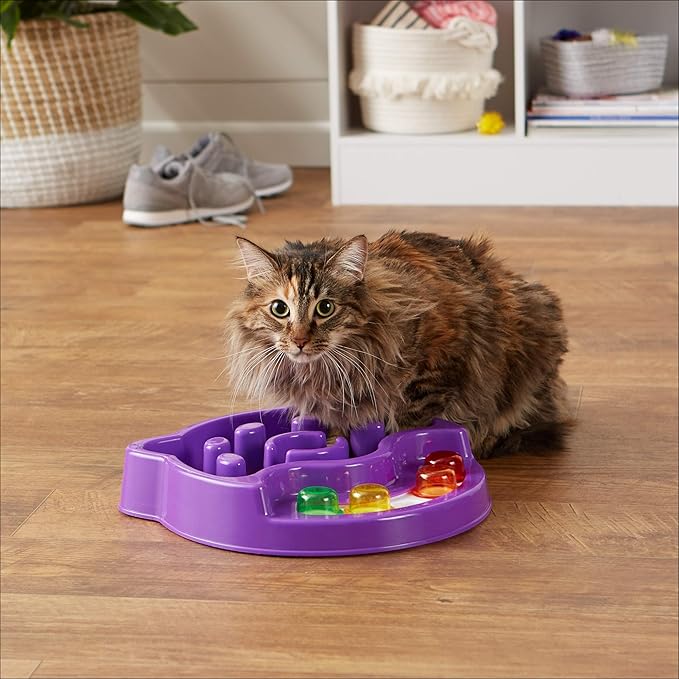 Amazon Basics Pet Activity Center and Feeder, Purple