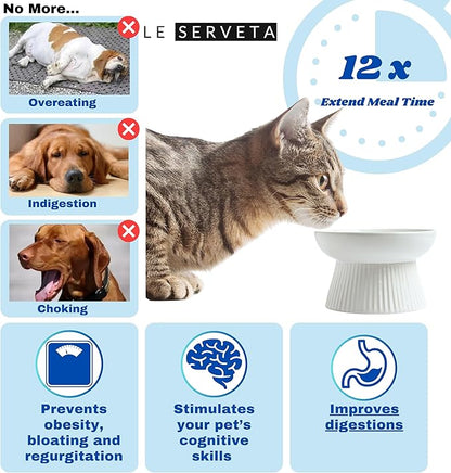 Ceramic Slow Feeder Cat Bowl, Raised Puzzle Feeder, Anti Vomiting Cat Slow Feeder, Elevated Food Bowl, Whisker Friendly Cat Bowl (White)