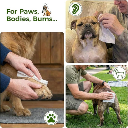 600 Count Dog Wipes, Pet Wipes for Dogs & Cats, Hypoallergenic, Fragrance-Free Grooming Wipes for Cleaning & Hydrating Paws, Body & Butt | Sensitive Skin with Aloe Vera - Unscented