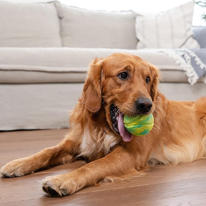 Outward Hound Grunt N' Punt Tennis Ball - Fetch Ball Dog Toy, Multi
