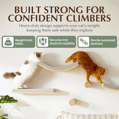 Extra Large 23.6”×14.6” CALLICO HAVEN- Stylish Cat Wall Shelves with Curved Design, Modern Wall-Mounted Cat Tree Hammock with Soft Cushion, Sturdy/Hidden Mounts, Washable Cover, Sleek Design -C Shape
