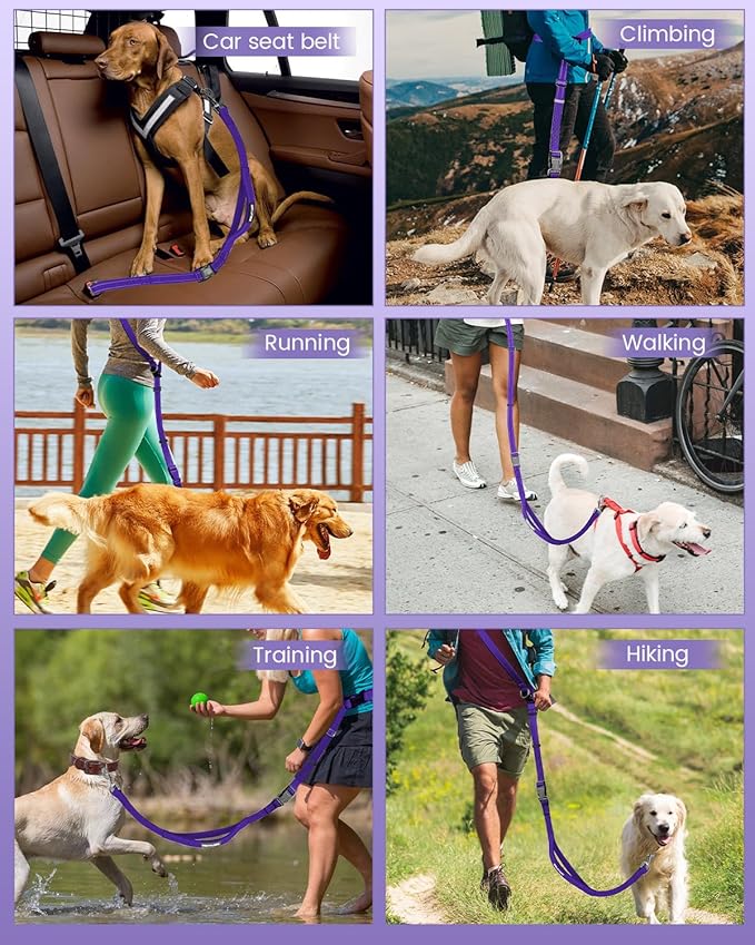 Hands Free Dog Leash, 2-in-1 Detachable Pet Seatbelt,5.9-9.2 ft Crossbody Dog Leash with Double-Sided Reflective for Walking, Hiking, Travel etc.(Purple)