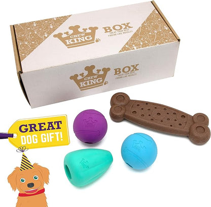 Chew King by Mammoth Dog Box Medium- Durable Fetch Balls, Treater and Chewing Toy Collection, Teal (CM-10099-CS01)